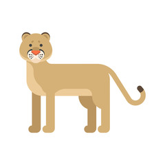 Vector flat style illustration of puma.