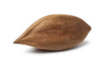One single pili nut on white background