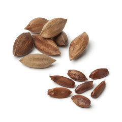 Heap of shelled and unshelled pili nuts on white background