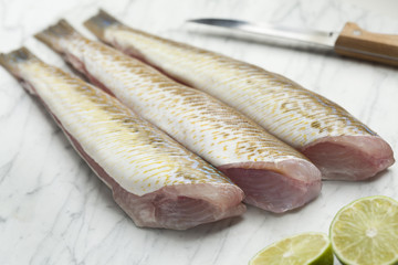  Fresh cleaned raw weeverfishes