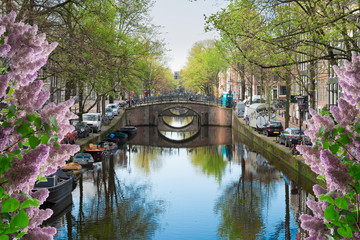 row of bridges over canal with mirror reflections in water, Amstardam, Netherlands with lilac flowers