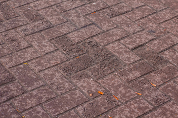 background pavement tiles red color