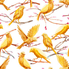Seamless watercolor pattern of hand drawn cherry blossom branch with yellow bird