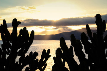 shadow silhouettes in sunset with clouds