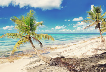 Obraz na płótnie Canvas Tropical scenery. Beautiful palm beach with turquoise waters and white sand. Tropical vacations. Relaxing tropical holidays. Idyllic tropical scene. Saona Island, Dominican Republic. Instagram filter