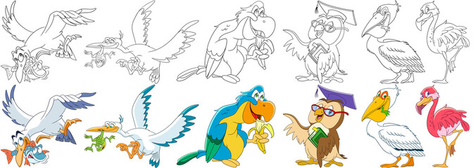 Cartoon animals set. Collection of birds. Aquatic seagull, fish, stork, frog, macaw (arara) parrot eating banana, owl in graduation cap holding book, pelican, flamingo. Coloring book pages for kids.