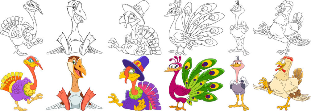 Cartoon animals set. Collection of farm birds. Turkey on Thanksgiving Day, goose (duck), peacock (peafowl), ostrich (emu), hen. Coloring book pages for kids.