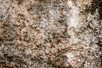abstract texture