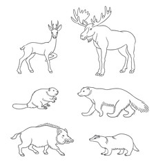 Set of vector forest animals in contours