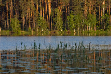 W zachodzącym słońcu © Tomek Kiecana