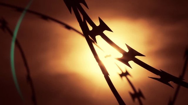 Close-up view of a barbed wire