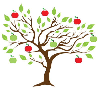 vector apple tree