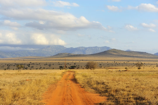 Savannah landscape in the National park in Kenya