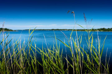 ruhiger Fjord in Finnland, Finnland