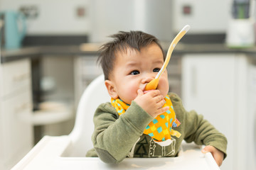 Asian baby boy eating blend food on a high chair - obrazy, fototapety, plakaty