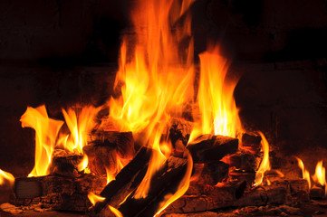 Bright flame of burning woods