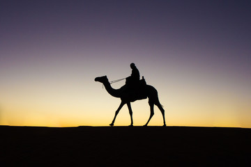 Silhouette of a camel and a cameleer at sunrise.