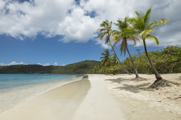 Tropical beach in Saint Thomas. - 138488207