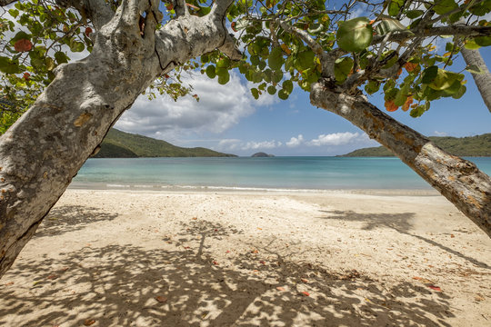 Magens Bay Beach In Saint Thomas.