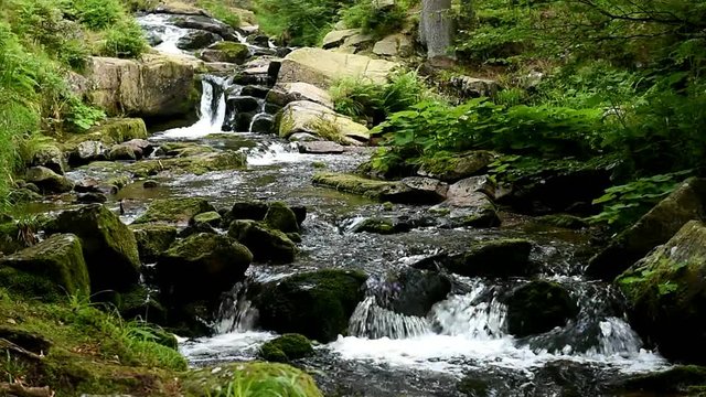 Warme Bode im Harz