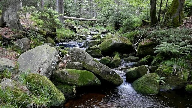 Warme Bode im Harz