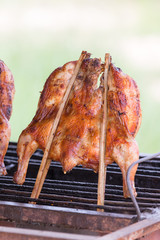 fixed chicken on sticks over grate of grill