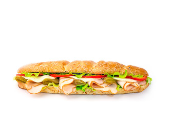 long sandwich with tomatoes and cheese on white background 2