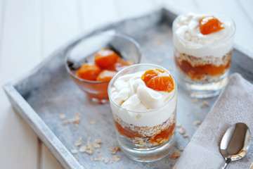 Oats layered with spicy apricot jam. Healthy food concept.