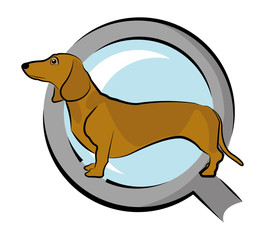 Dachshund with magnifying glass