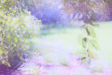 abstract dreamy photo of spring forest