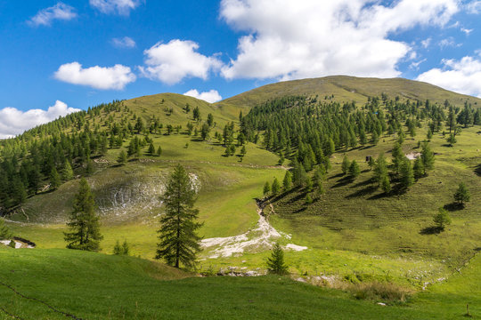 Zirben wachsen auf den Gipfeln der Nockberge