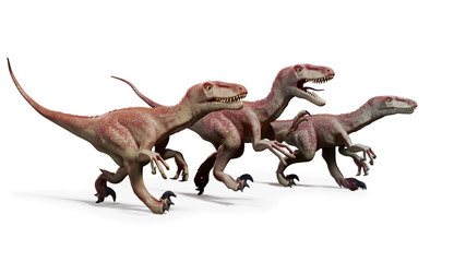 pack of Dromaeosaurs, hunting theropod dinosaurs, 3d illustration
