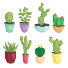 Stickers pour porte Cactus en pot vecteur sertie de cactus