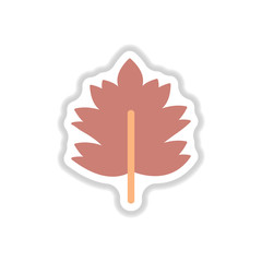 Label with leaf shadow vector icon design collection tree leaf