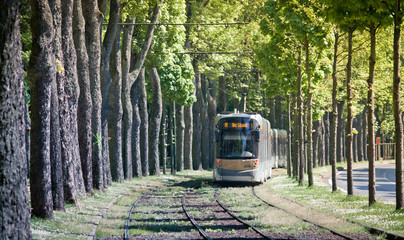 Tram railroad in Brussels. Public transport of the Belgian capital. Tunnel of trees.