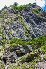 Mountains with green vegetation, trees in Abkhazia.