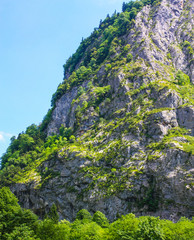Mountains with green vegetation, trees in Abkhazia.