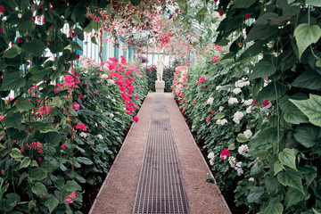 Greenhouse of the Royal Palace of Laeken, Brussels. Glasshouse with exotic flowers. Popular landmark in the capital of Begium. Blooming season in Europe.