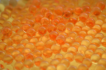 Caviar close-up