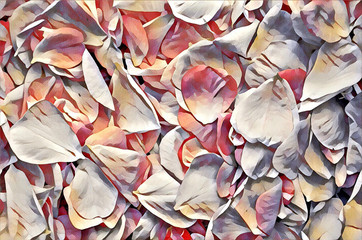 fresh and soft rose petals. Floral background on canvas texture