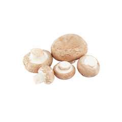Fototapeta na wymiar Heap of raw white champignons, isolated