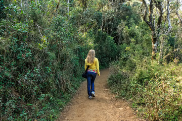 Obraz premium Girl walks on road surrounded with tropical forest