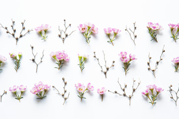 Pink Flowers Arrangement On White Background