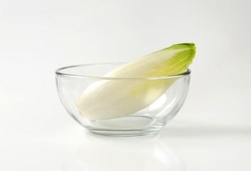 fresh Belgian endive