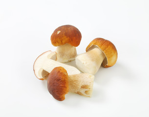 fresh porcini mushrooms