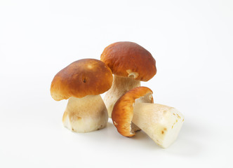 edible bolete mushrooms (porcini)