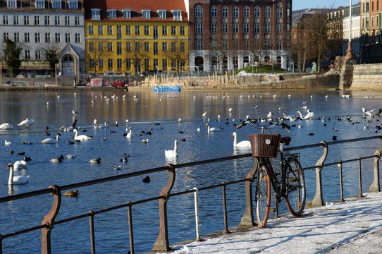 Fototapeta Vélo devant le quartier de Nørrebro