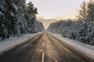 Obraz premium Winter forest and road