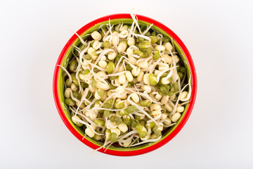 Pea seeds with sprouts close up