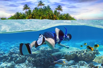 Photo sur Aluminium Plonger Homme à la plongée en apnée dans l& 39 eau tropicale